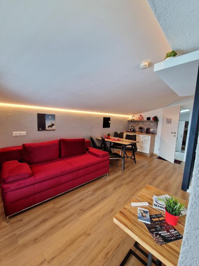 Apartment Kalina & Lian - Zell Am See Buitenkant foto